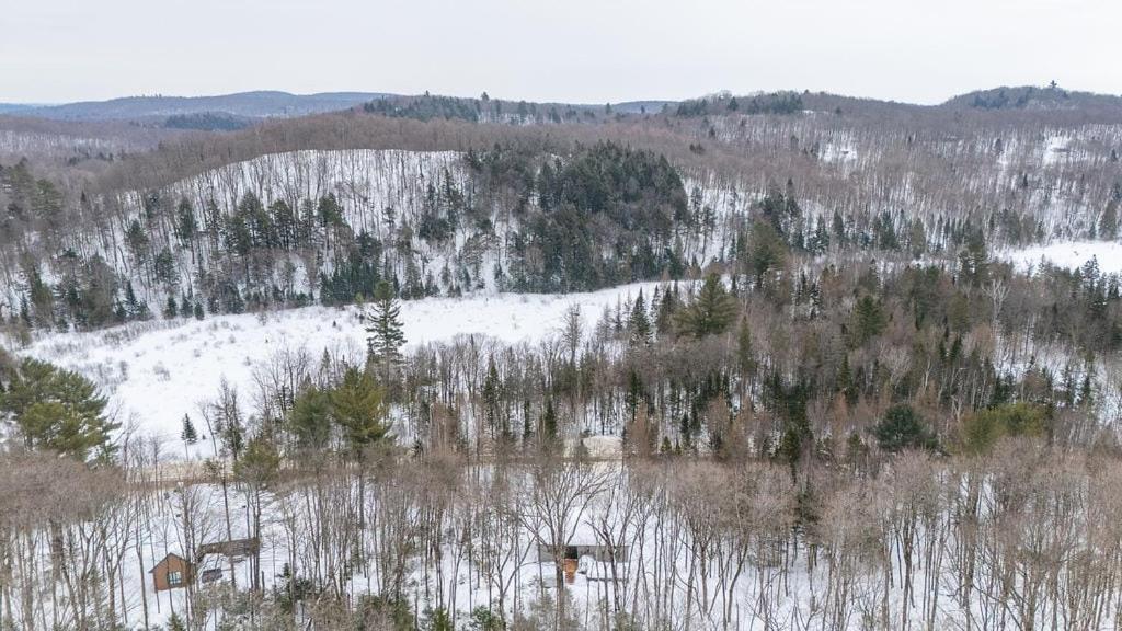 Chalet Amira - Nature Retreat - Hiking Brownsburg المظهر الخارجي الصورة