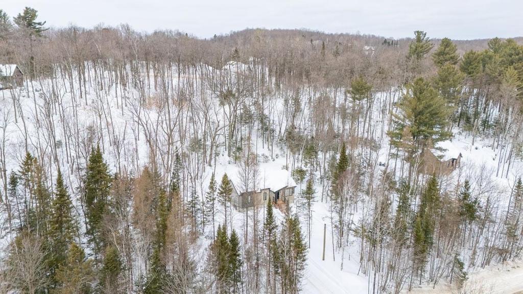 Chalet Amira - Nature Retreat - Hiking Brownsburg المظهر الخارجي الصورة